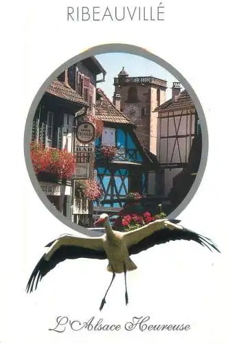 A5182 France Alsace Ribeauville cityscape and cigogne