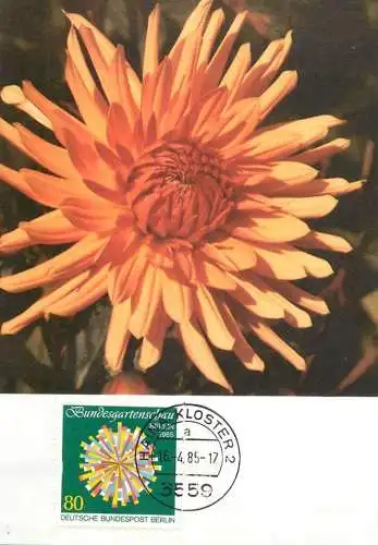 A5378 Maximumkarte 1985 cactus dahlia