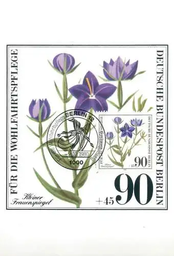 A5378 Kleiner Frauenspiegel Maximumkarte