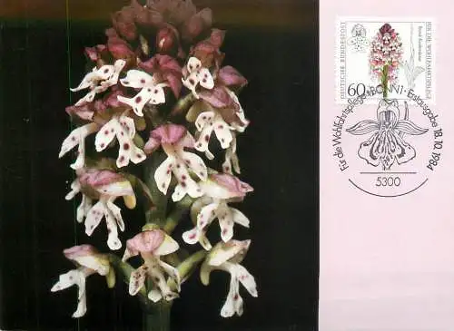 A5378 Burnt Orchid maximum card Germany