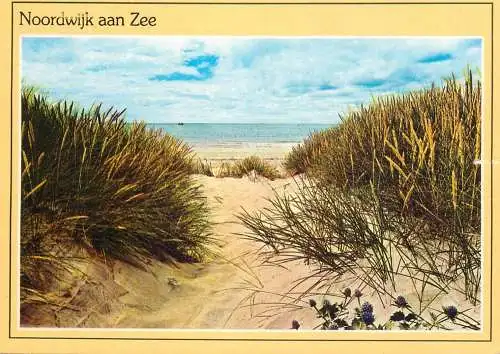 A5165 Netherlands Noordwijk aan Zee - dunes