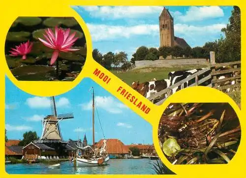 A5142 Netherlands Mooi Friesland different sights