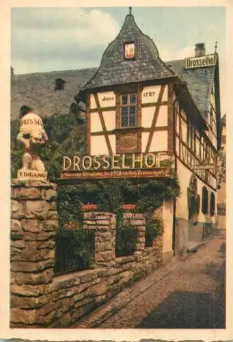A5136 Germany Rudesheim am Rhein Der Drosselhof