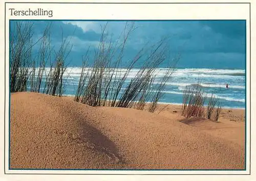 A5099 Netherlands Terschelling beach and sea