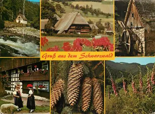 A5090 Germany Gruss aus dem Schwarzwald several aspects and views