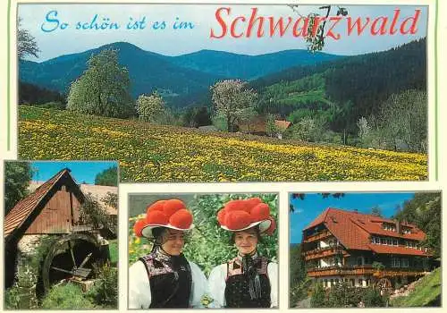 A5089 Germany Schoner Schwarzwald multi view souvenir