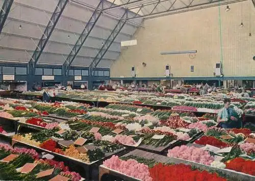 A5088 Netherlands Aalsmeer Big Hall cut flower section