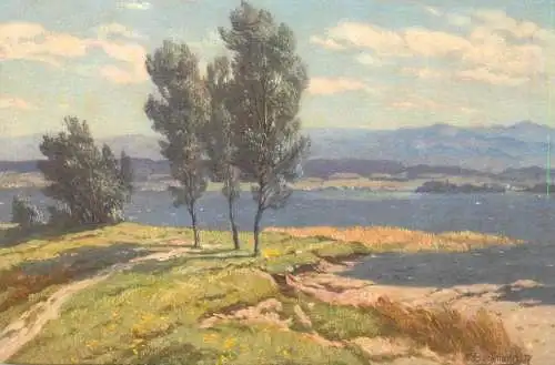 A5353 Schweiz am Zurichsee bei Bach