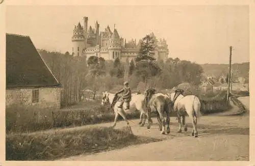 A5360 Pierrefonds chateau chevals