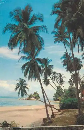 A5359 Malaysia Tanjong Bungah Penang