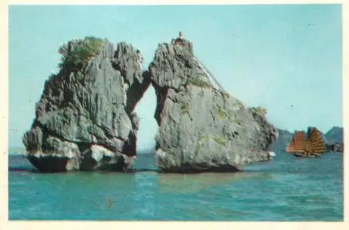 A5359 Vietnam Hon Ga Choi