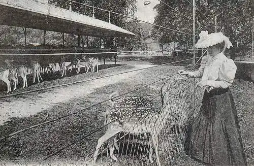 A5304 France carte d`autrefois Lyon parc de la Tete d`Or