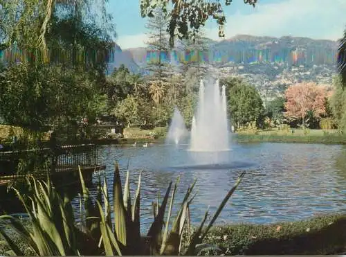 A5084 Portugal Madeira Funchal Parque Municipal de Santa Caterina