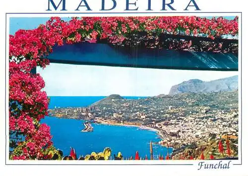 A5084 Portugal Madeira Funchal panorama