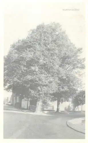 A5305 Martenslinde modern repro card