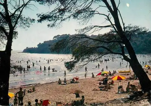 A5079 France Bormes (Var) La Plage de l'Estagnol