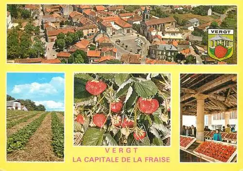 A5079 France Vergt (Dordogne) multi view