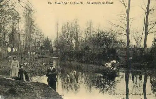 A3656 France Fontenay le Comte - Chaussée du Moulin