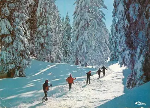 A5066 Neige et soleil ski types and scenes