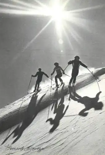 A5066 Ski types and scenes signed postcard