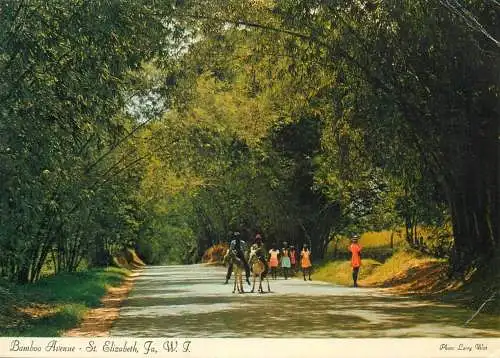 A5065 Jamaica St Elizabeth Bamboo Avenue ethnic types and scenes