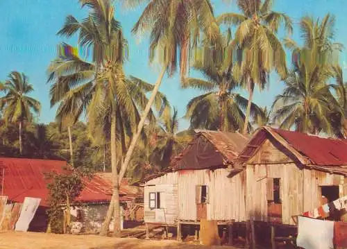 A5065 Singapore Pasir Panjang a Malay Kampong at seaside typical hut