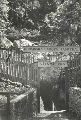 A5062 Slovenia Dobinska Cave entrance