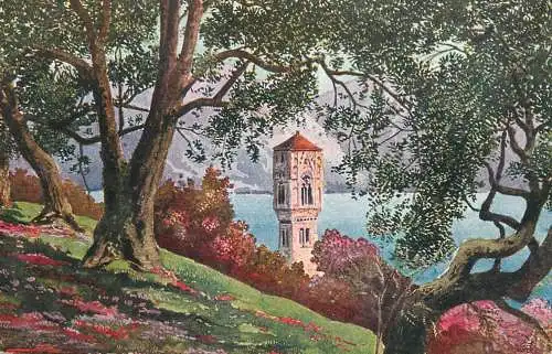 Italy Como lake Ulivi