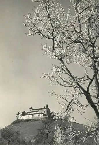 A5061 Slovakia Krasna Horka