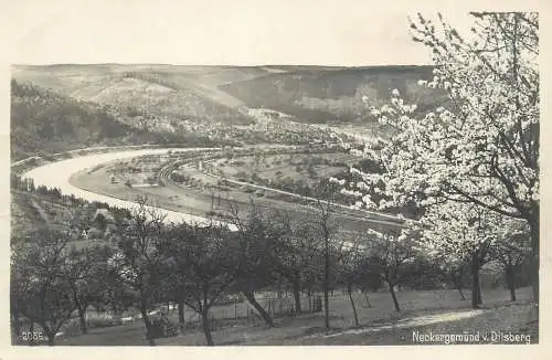 A5290 Neckargemünd Neckargemuend