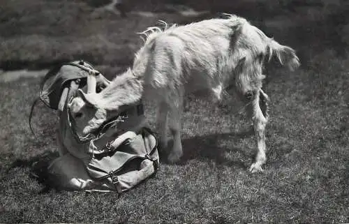 Switzerland gizi auf Besuch