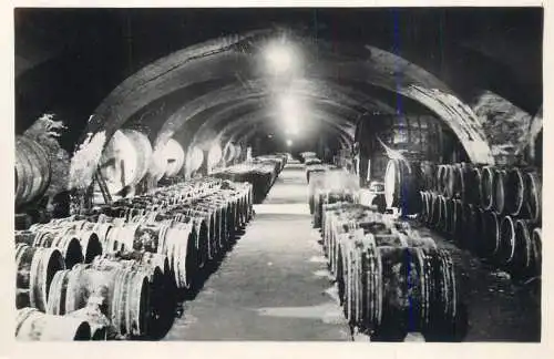 France Villefranche et du Beaujolais wine cellar