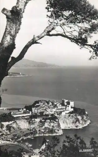 A5036 Monaco Le Rocher