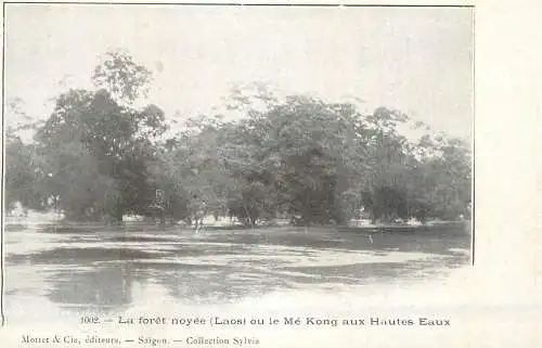 Laos la foret noyee