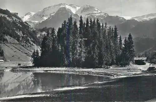 Switzerland Bei Lenk wildstrubel