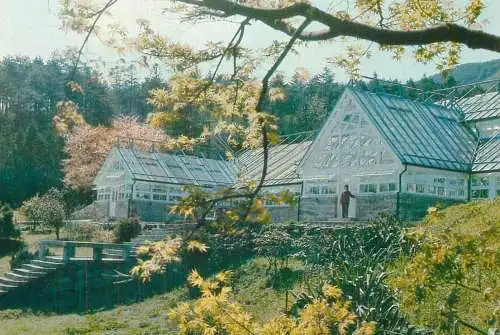 China the botanical garden