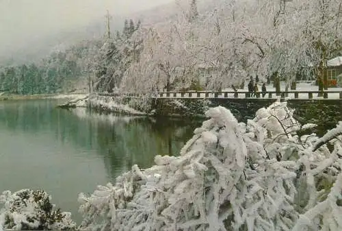 China Ruqin lake