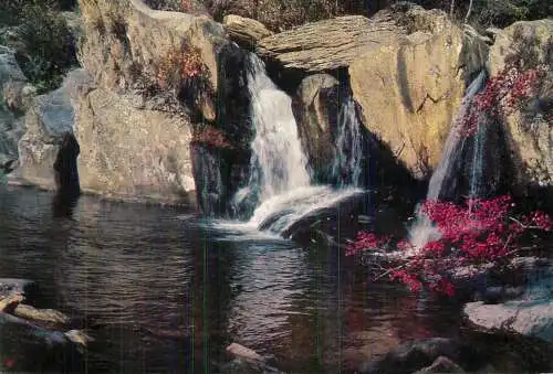 China black dragon pool