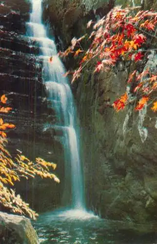 China yellow dragon pool