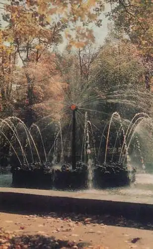 Russia Sankt Petersburg Pedrovoret fountain grand palace