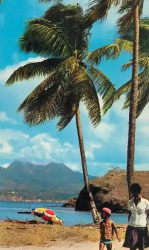 A5030 Martinique Anse Mitan beach holiday types and scenes