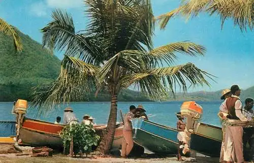 A5030 Martinique St Luce fishermen drop by the beach