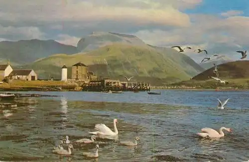 A5151 Loch Linnhe and Ben Nevis