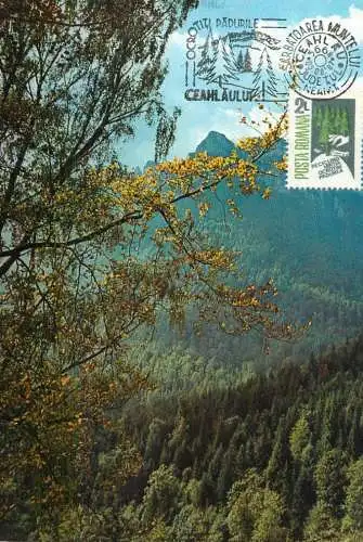 Maxi Card ROMANIA Masivul Ceahlau