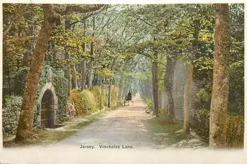 A5016 Channel Islands Jersey Vinchelez Lane