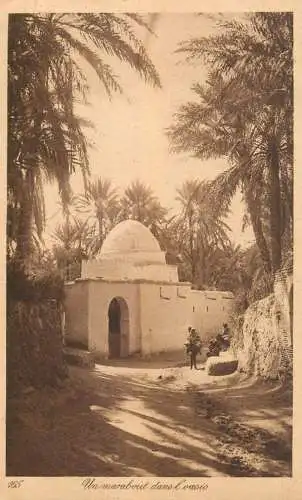 A5016 Oasis marabout place to identify