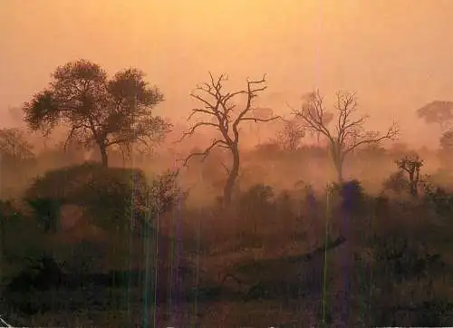 South Africa Zululand