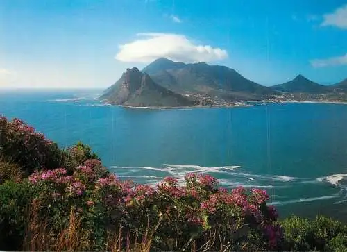 South Africa Western Cape Hout Bay
