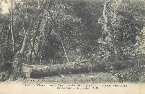 A5129 Bois de Vincennes (unstick back)
