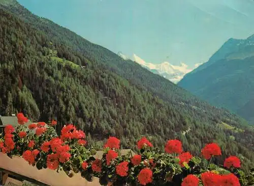 Switzerland Saint-Luc Cervin